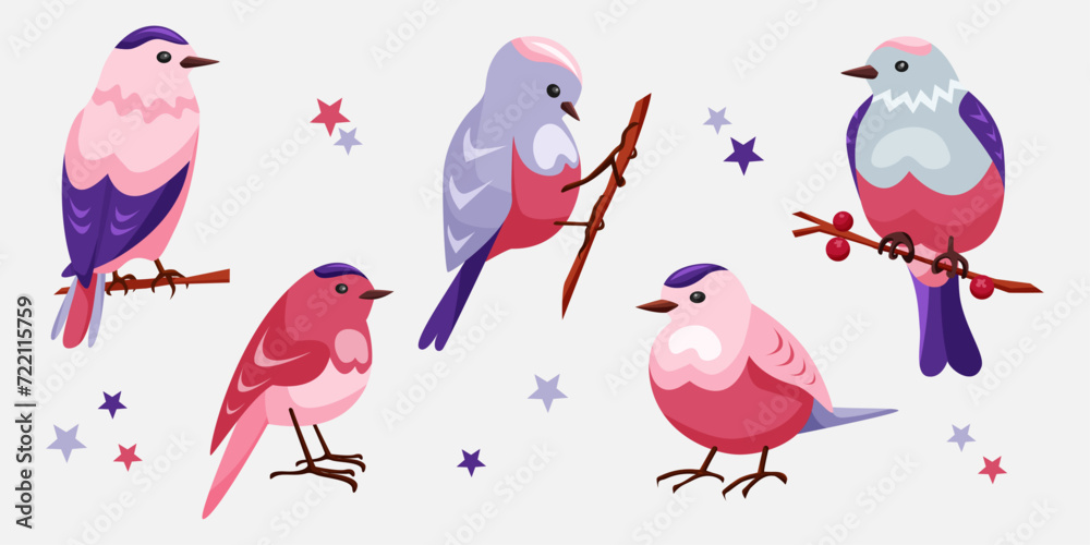 Set of cute seasonal birds in pink and blue. Sparrows on a twig. Spring and winter birds for a cute cartoon-style design. Birds in different positions with stars