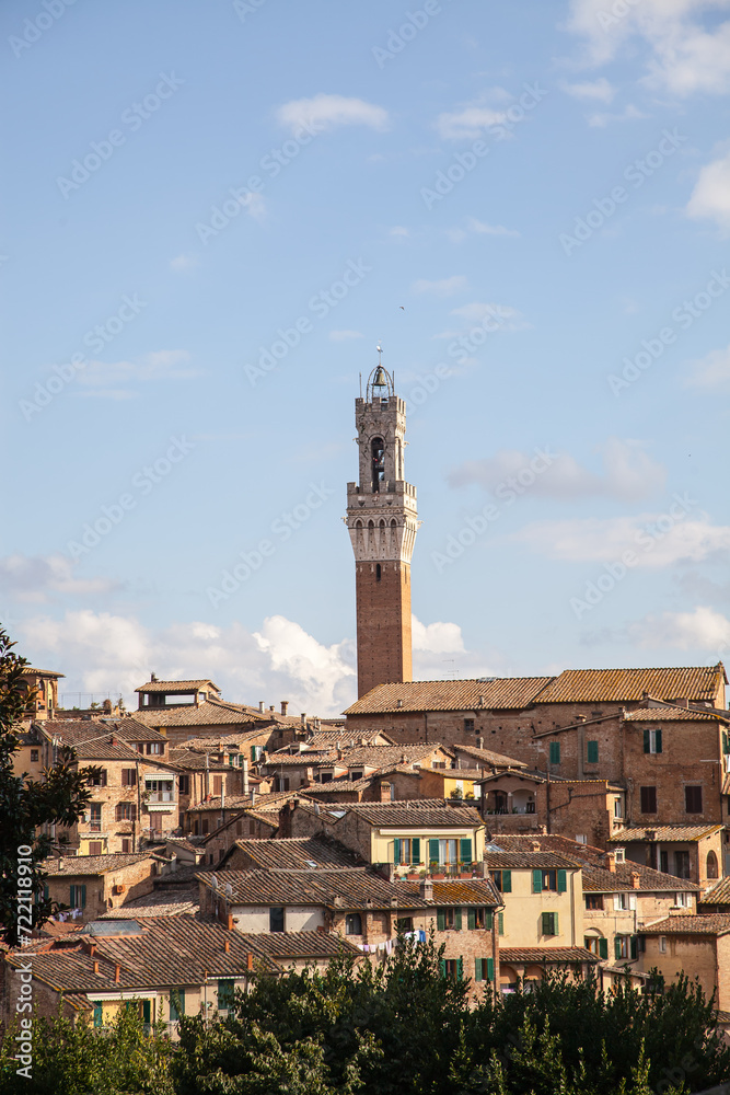 View of the old town of Sienna with the Cathedral