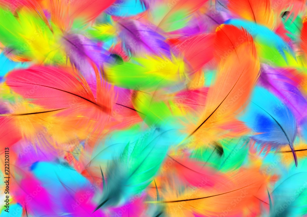 bright background of colorful feathers bright background of colorful feathers