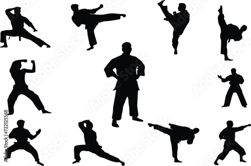 karate silhouettes set. Judo martial art, Judo fighters in various poses and positions. Editable vector for poster or banner designing. Self safety, Karate club or competition idea. eps 10