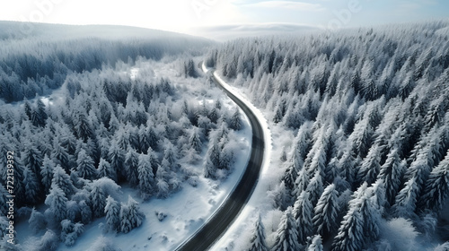 Road through the snowy forest, aerial shot