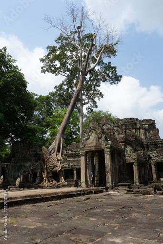 Giant tree growing over the ancient ruins of a temple