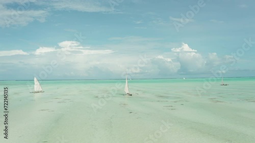  Aerial Nature and Beach View of Zanzibar 4k