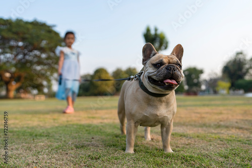 French bulldog standing at field with small child.