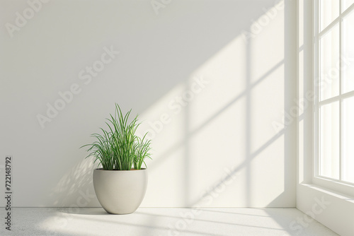 Vaso de grama verde em uma sala branca e vazia