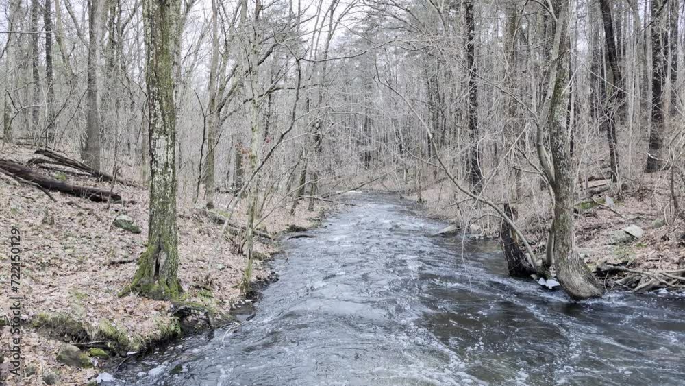 River Flowing Away with Surrounding Trees and Leaves River Flowing Away with Surrounding Trees and Leaves