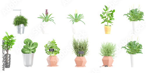 Collection of different house plants. Collage side view home plant