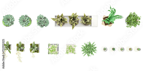 Set of indoor house plants in pots from top view