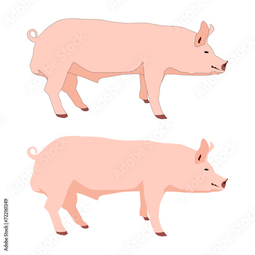 Vector pink pig, boar isolated on white background flat with shadows © Екатерина Волконская