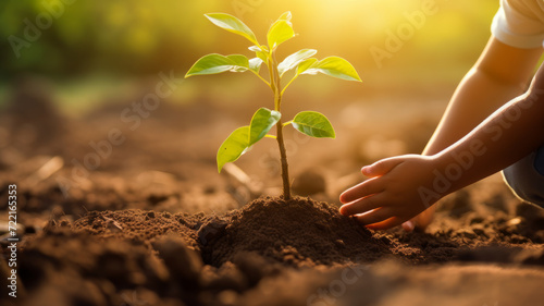 Child plants small tree, symbolizing dedication to greener future.