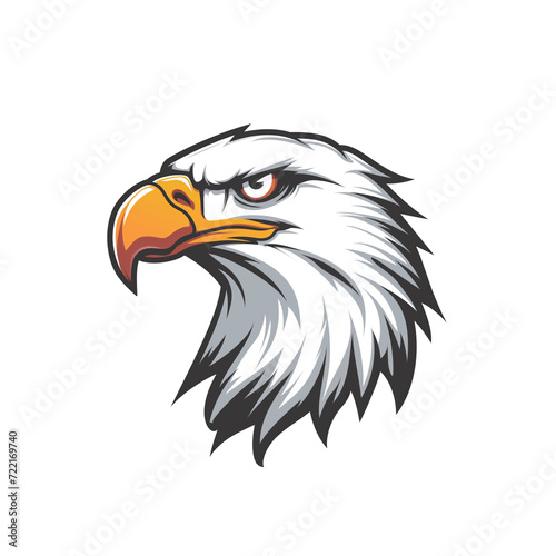 American bald eagle head