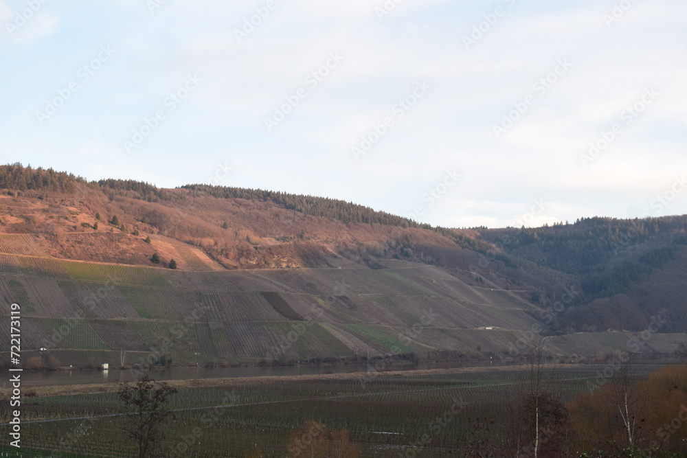low sun on Mosel valley