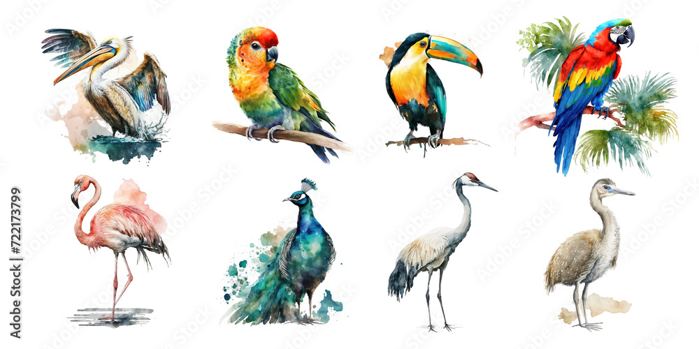 Obraz premium Tropical birds. Watercolor clipart on a white background.