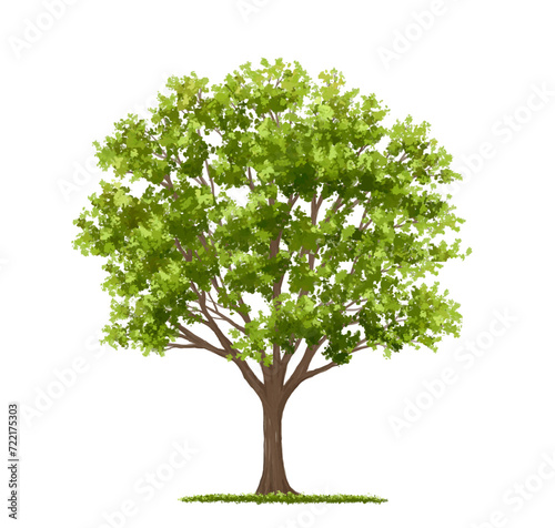 Vector watercolor green tree or forest side view isolated on white background for landscape and architecture drawing,elements for environment or garden,botanical element for exterior section in spring