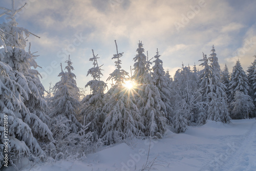 Winter landscape at the mountain called Kahler Asten near the city Winterberg in the morning.