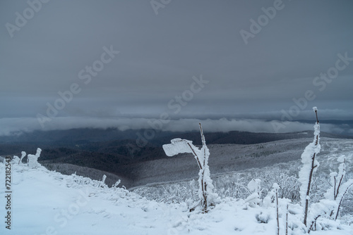 Fototapeta Naklejka Na Ścianę i Meble -  Mountain valley in winter in the fog