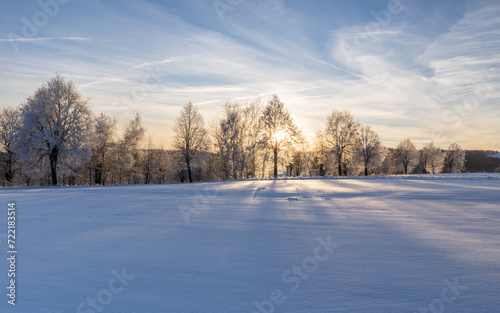 Winter sunset among snow-covered trees