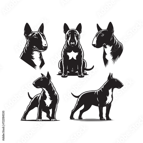 Vigilant Guardian: Bull Terrier Silhouette Series Portraying the Alert Posture and Watchful Stance of This Noble Breed - Bull Terrier Illustration - Bull Terrier Vector - Dog Silhouette 