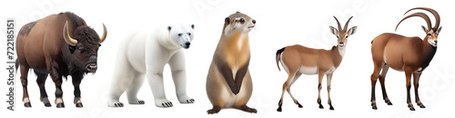 Close up set of animals bison, polar bear, marmot, lechwe, ibex isolated on transparent background. Generative AI	 photo