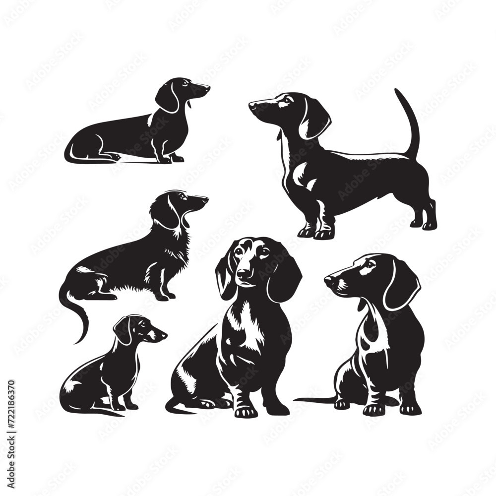 Dachshund Silhouette Extravaganza: A Captivating Collection of Wiener Dog Shadows Evoking Joy and Playfulness - Dachshund Illustration - Dachshund Vector - Dog Silhouette
