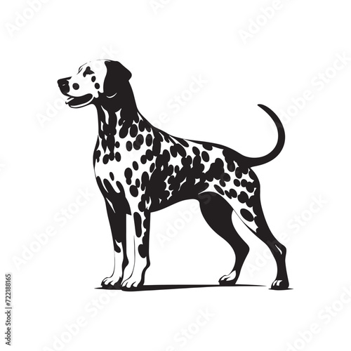 Dalmatian Silhouette Exhibit: Featuring a Stunning Showcase of Striking Canine Contours - Dalmatian Illustration - Dalmatian Vector - Dog Silhouette
