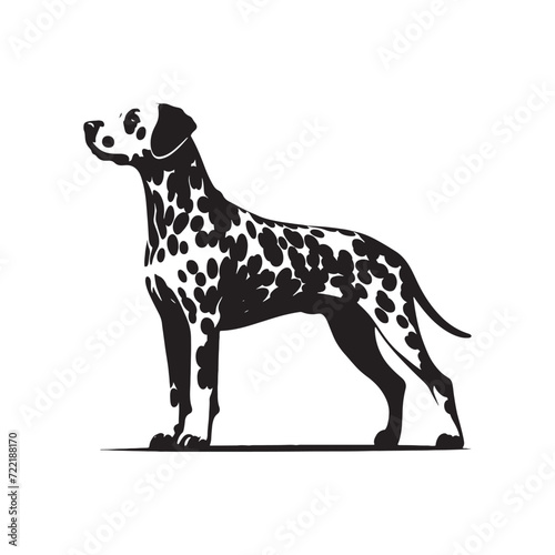 Dalmatian Silhouette Assortment  An Array of Artistic Representations Celebrating the Timeless Charm of the Dalmatian - Dalmatian Illustration - Dalmatian Vector - Dog Silhouette 