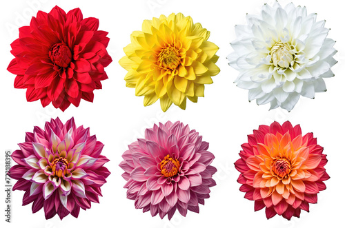 Collection of six beautiful dahlia flowers isolated on transparent background. Generative AI 