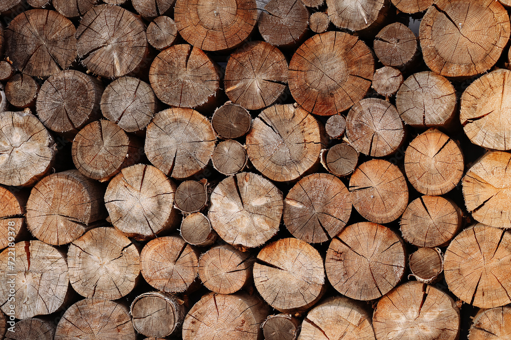 Woodpile pattern or texture. Round cuts of wood in natural light. Concept for background, wallpaper, or design element with copy space for your text or logo. Woodpile pattern or texture. Round cuts of wood in natural light. Concept for background, wallpaper, or design element with copy space for your text or logo.