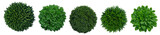 Top view of various decorative green bush or shrub plants isolated on transparent background. Generative AI	
