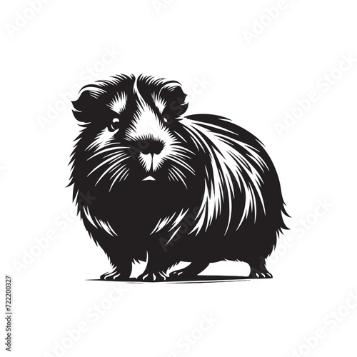 Furry Friends in Silhouette: Guinea Pig Silhouettes Capturing the Endearing Nature of These Lovable Pets - Guinea Pig Illustration - Guinea Pig Vector
