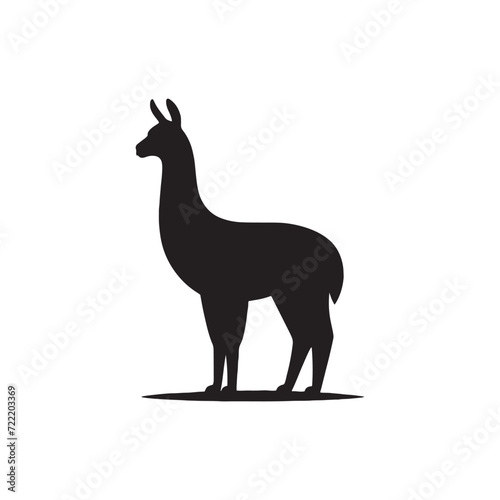 Harmony in Shadows: Lama Silhouette Ensemble Creating a Symphony of Graceful Llama Forms - Lama Illustration - Lama Vector
