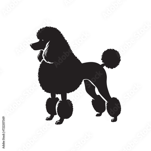Silky Paws Symphony: Poodle Silhouette Set Displaying the Soft and Elegant Movements of Poodle Feet - Poodle Illustration - Poodle Vector
