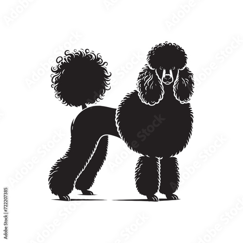 Enchanting Elegance: Poodle Silhouette Series Capturing the Enchanting Charisma of Poodle Beauty - Poodle Vector - Poodle Silhouette
