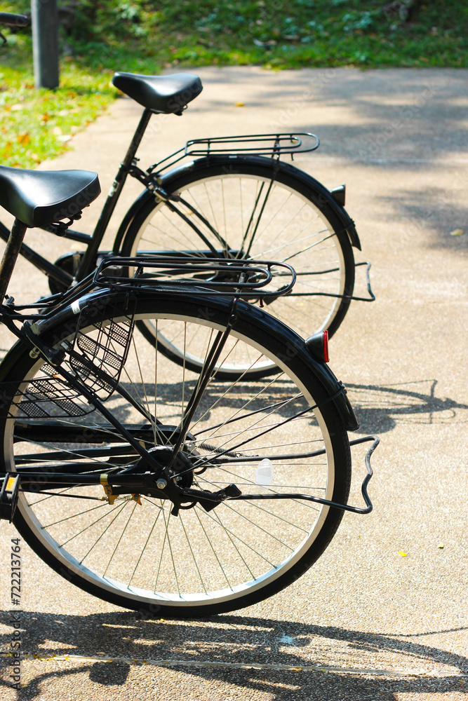 Bicycle in the park at a bicycle rack