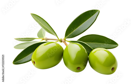Wallpaper Mural Olive png olives png olive branch png olives branch png branch of olive png branch of olives png green olive branch png green olive png Olive transparent background Torontodigital.ca