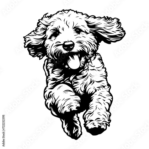 running goldendoodle icon illustration, running goldendoodle silhouette logo svg vector
