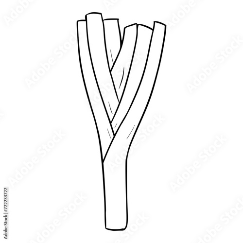 leeks illustration outline isolated vector
