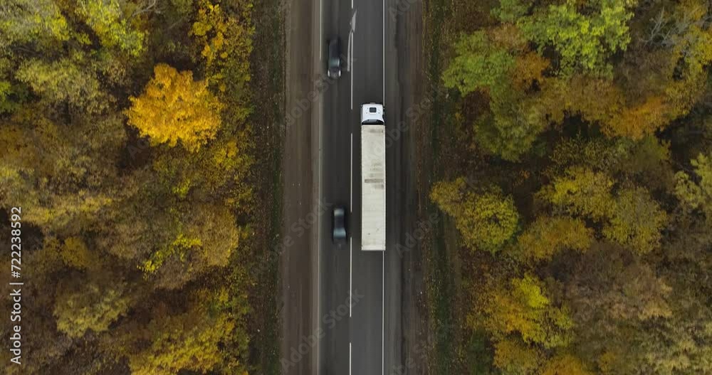 One Semi Truck with white trailer and cab driving, traveling alone on dense flat autumn yellow forest asphalt straight road, highway top down view follow vehicle aerial footage. Freeway trucks traffic