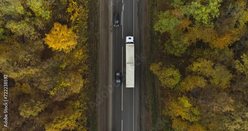 One Semi Truck with white trailer and cab driving, traveling alone on dense flat autumn yellow forest asphalt straight road, highway top down view follow vehicle aerial footage. Freeway trucks traffic