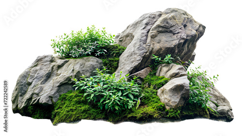 Large rocks with overgrown foliage and moss, plants and foliage around, green nature, isolated on transparent background