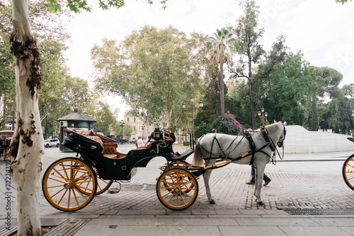 Canvas Print horse and carriage in the street