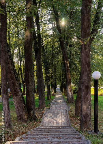Tall deciduous trees grow along the concrete path.