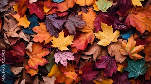 Abstract patterns of colorful autumn leaves covering the ground in a forest