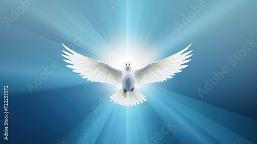 White Dove Soaring Through the Air With Wings Spread