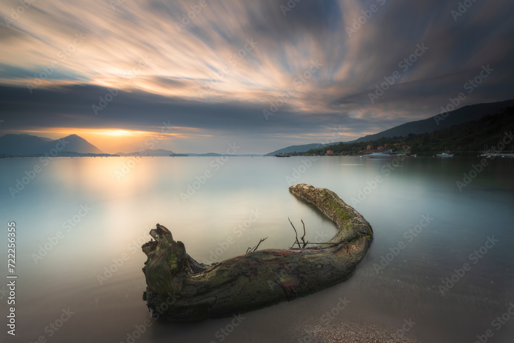 Obraz premium Silky.