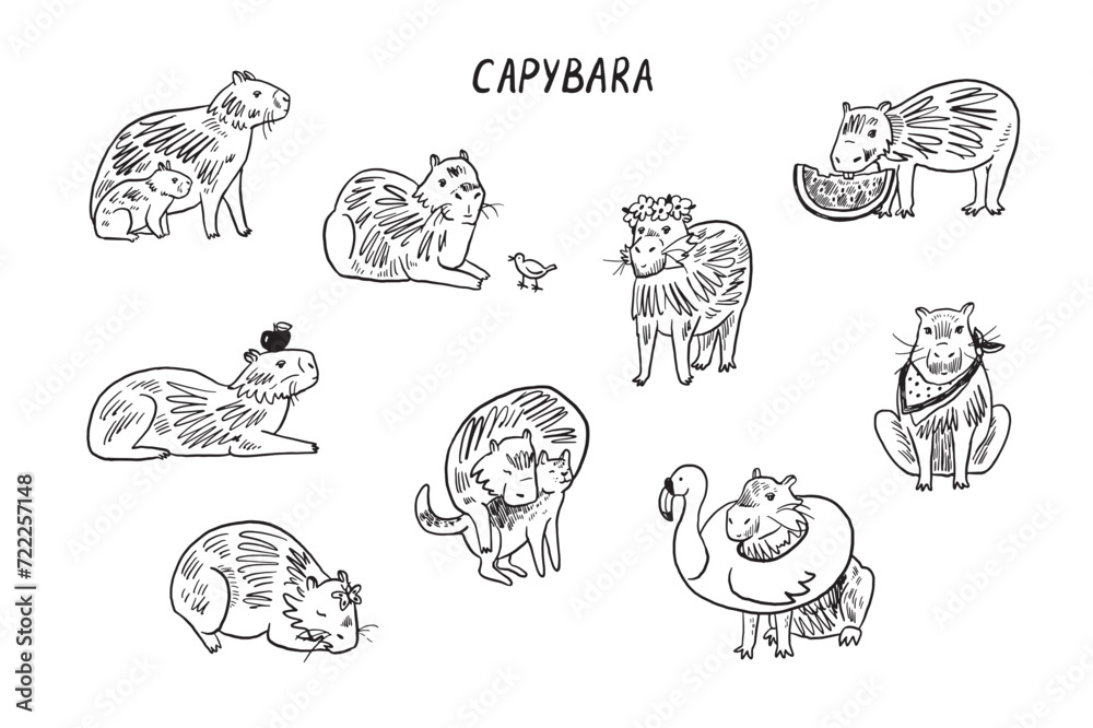 Capybara cute animal vector illustrations set.