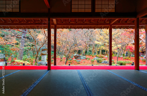 Scenic view from a tatami room by a Japanese courtyard garden with colorful maple trees & fallen leaves in a peaceful Zen ambiance, in Enkoji, Kyoto, Japan, a Buddhist temple famous for autumn foliage photo