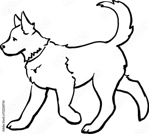 An adult domestic dog is walking. Linear vector drawing. For printing on products, advertising veterinary hospitals, farms. For printing on pet products. Images of animals in graphics. Happy pets