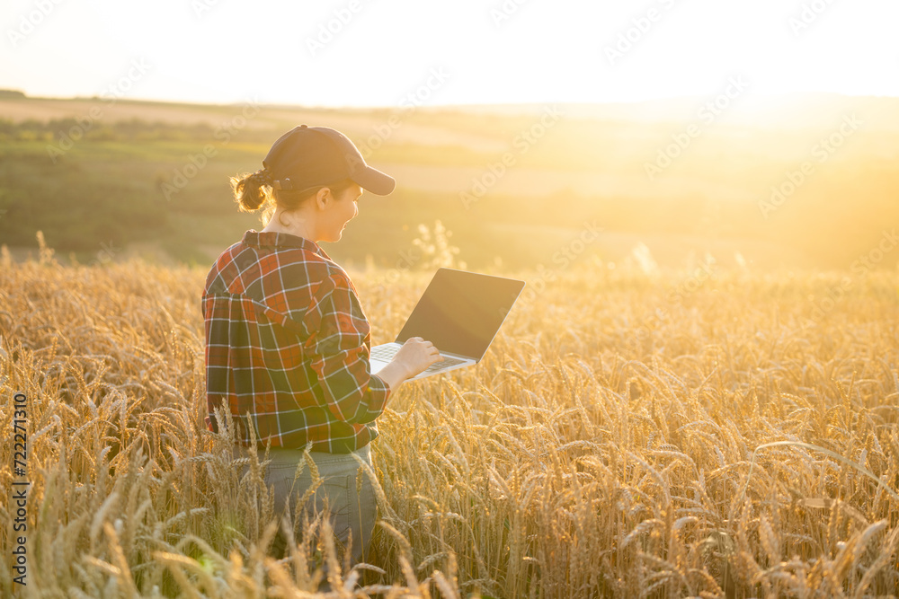 Woman farmer working with laptop on wheat field. Smart farming and digital agriculture.. Woman farmer working with laptop on wheat field. Smart farming and digital agriculture..
