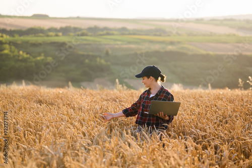 Woman farmer working with laptop on wheat field. Smart farming and digital agriculture..